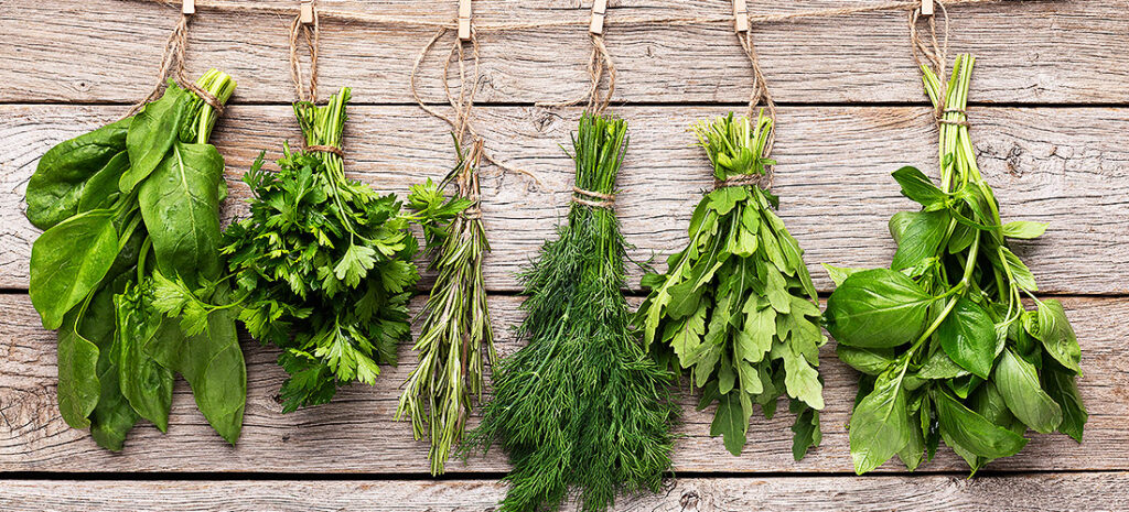 Manualul Bucătarului: Ierburi Aromatice