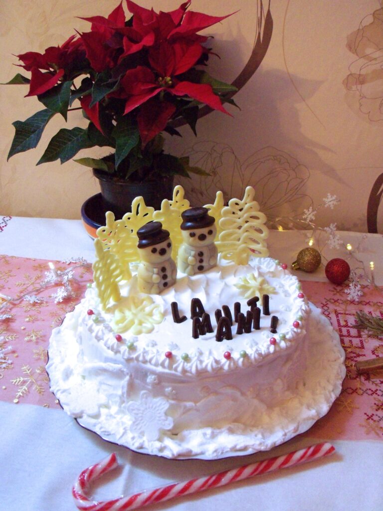 Tort Feerie de Iarnă