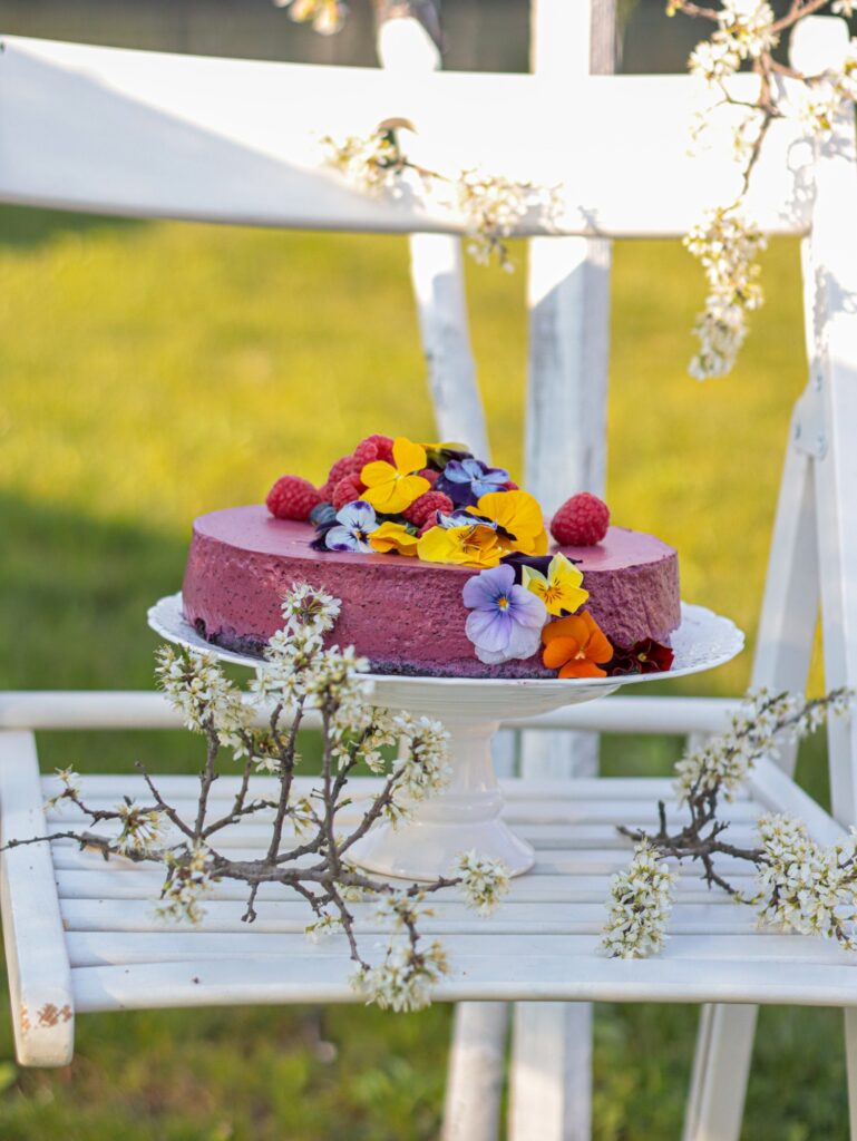 Tort cu blat de cacao si mousse de afine